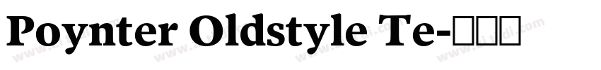 Poynter Oldstyle Te字体转换
